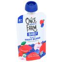 Once Upon a Farm Organic Apple Blueberry 6 Month Plus Baby Food, 3.2 Fluid Ounce -- 8 per case