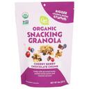 Go Raw Organic Cherry Berry Chocolate Chunk Snacking Granola, 8 Ounce -- 6 per case