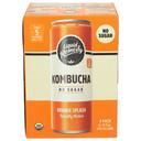 Liquid Remedy Organic Sugar Free Orange Splash Kombucha, 48 Fluid Ounce -- 6 per case