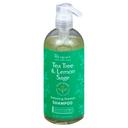 Renpure Tea Tree and Lemon Sage Shampoo, 24 Fluid Ounce