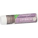 Soothing Touch Lavender Coconut Vegan Lip Balm, 0.25 Ounce -- 12 per case