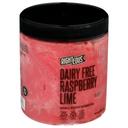 Righteous Dairy Free Raspberry Lime Sorbetto, 16 Ounce -- 8 per case