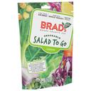 Brads Plant Based Organic Caesar Salad to Go Snack, 2 Ounce -- 12 per case