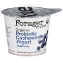 Forager Organic Dairy Free Blueberry Cashewmilk Yogurt, 5.3 Ounce -- 6 per case