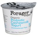 Forager Organic Dairy Free Unsweetened Plain Cashewmilk Yogurt, 5.3 Ounce -- 6 per case