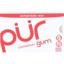 Pur Aspartama Free Cinnamon Chewing Gum, 9 count -- 12 per case