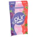 Pur Grape Watermelon Jumbo Gum, 2.9 ounce -- 10 per case