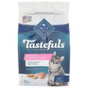 Blue Buffalo Tastefuls Sensitive Stomach Chicken and Brown Rice Recipe Dry Cat Food, 5 Pound -- 5 per case