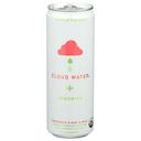 Cloud Water Grapefruit Mint and Basil Immunity Sparkling Water, 12 Fluid Ounce -- 12 per case