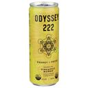 Odyssey 222 Pineapple Mango Sparkling Energy Plus Focus Drink, 12 Fluid Ounce -- 12 per case