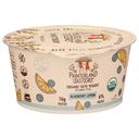Painterland Sisters Organic Blueberry Lemon Skyr Yogurt, 5.3 Ounce -- 8 per case