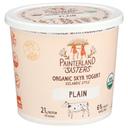 Painter Land Sisters Organic Plain Skyr Yogurt, 24 Ounce -- 6 per case.