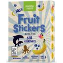 Peaceful Fruits Sea Creatures Banana Blueberry Fruit Stickers, 2.5 Ounce -- 12 per case