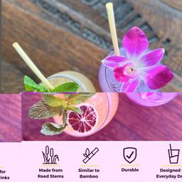 Product thumb gallery 3852722