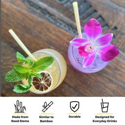 Product thumb gallery 3852476
