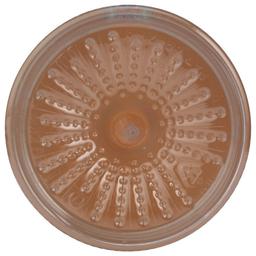 Product thumb gallery 4006167