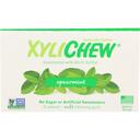 Xylichew Spearmint Soft Chewing Gum, 12 count -- 24 per case