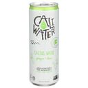 Caliwater Ginger Plus Lime Cactus Water, 12 Fluid Ounce -- 12 per case