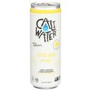 Caliwater Pineapple Cactus Water, 12 Fluid Ounce -- 12 per case