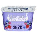Icelandic Provisions Berry Medley Thick and Creamy Low Fat Yogurt Skyr, 5.3 Ounce -- 12 per case
