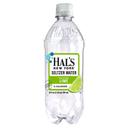 Hals New York Lime Seltzer Water, 20 Fluid Ounce -- 24 per case