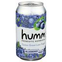 Humm Blueberry Mint Kombucha, 12 Fluid Ounce -- 6 per case