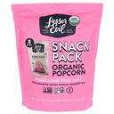 LesserEvil Organic Himalayan Pink Salt Popcorn, 0.46 Ounce -- 96 per case