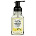 Jr Watkins Lemon Foaming Hand Soap, 9 Fluid Ounce -- 3 per case