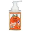 South Of France Orange Blossom and Honey Hydrating Foaming Hand Wash, 8 Fluid Ounce -- 3 per case