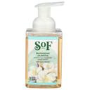 South Of France Blooming Jasmine Foaming Hand Wash, 8 Ounce -- 3 per case