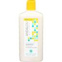 Andalou Naturals Sunflower and Citrus Brilliant Shine Shampoo, 11.5 Ounce