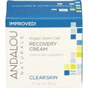 Andalou Naturals Clear Skin Argan Stem Cell Recovery Cream, 1.7 Ounce