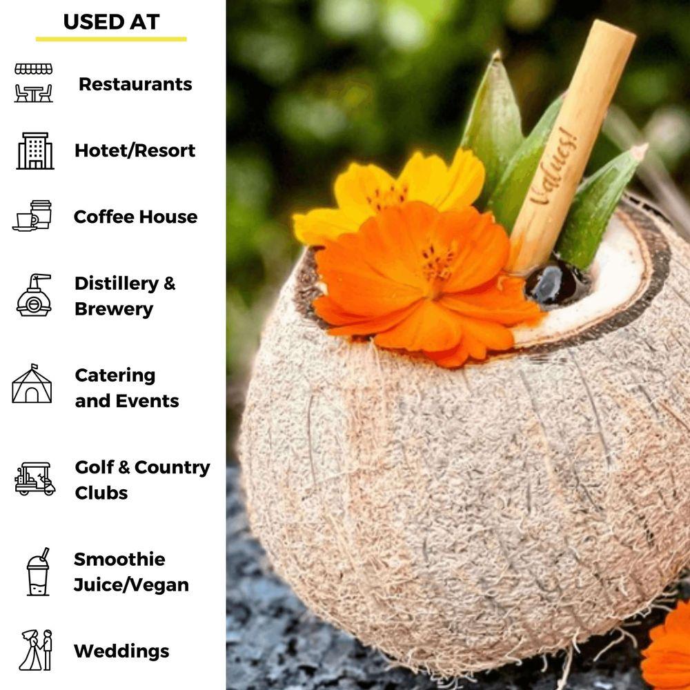 Product gallery 3852680