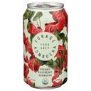 Forage Organic Raspberry Kombucha, 12 Fluid Ounce -- 12 per case