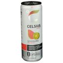 Celsius Live Fit Kiwi Guava Sparkling Energy Drink, 12 Fluid Ounce -- 12 per case
