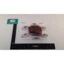 Broadleaf Elk Loin Chops, 8 Ounce -- 22 per case