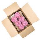 Le Stelle Presliced Sopressa Salami, 10 Pound