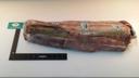 Broadleaf Cervena Venison Bone In Saddle, 17 Pound -- 3 per case