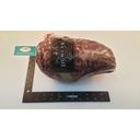 Duncan Venison Boneless Roast Shoulder, 7 Pound -- 6 per case