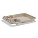 Strongholder Molded Fiber Beige Paper 2 Cup Beverage Carrier for 8 to 44 Ounce Capacity Cup -- 100 per case