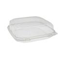 Pactiv EarthChoice Clear PET Rectangular Large 1 Compartment Hinged Deli Container, 9 x 9 x 3 inch -- 250 per case