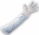 Bunzl 1.5 Mil White Shoulder Length Poly Disposable Gloves -- 100 per case