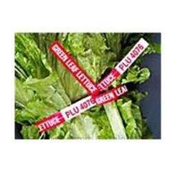Product thumb gallery 2740334