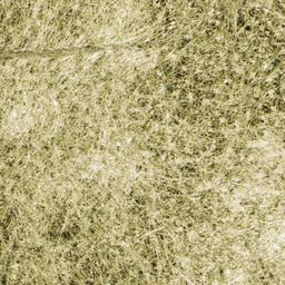 Product thumb gallery 2770217