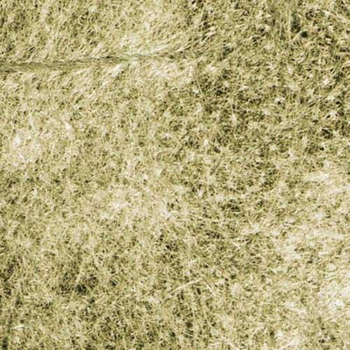 Product gallery 2770217