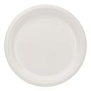 EcoSystems White Molded Fiber Plate, 10 inch -- 500 per case