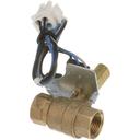 Cleveland CLEFK110613 Drain Valve