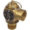 Cleveland 1/2 inch MPT x 1/2 inch FPT Brass Steam Safety Valve for Cleveland Part Number KE54941-5