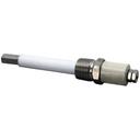 Cleveland Water Level Electrode Probe for Cleveland Part Number S40462, 3/8 inch MPT