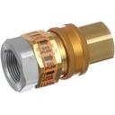 Dormont DORB100 1 inch Fpt Quick Gas Disconnect